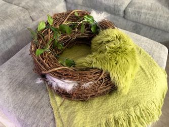 Newborn nest photo prop