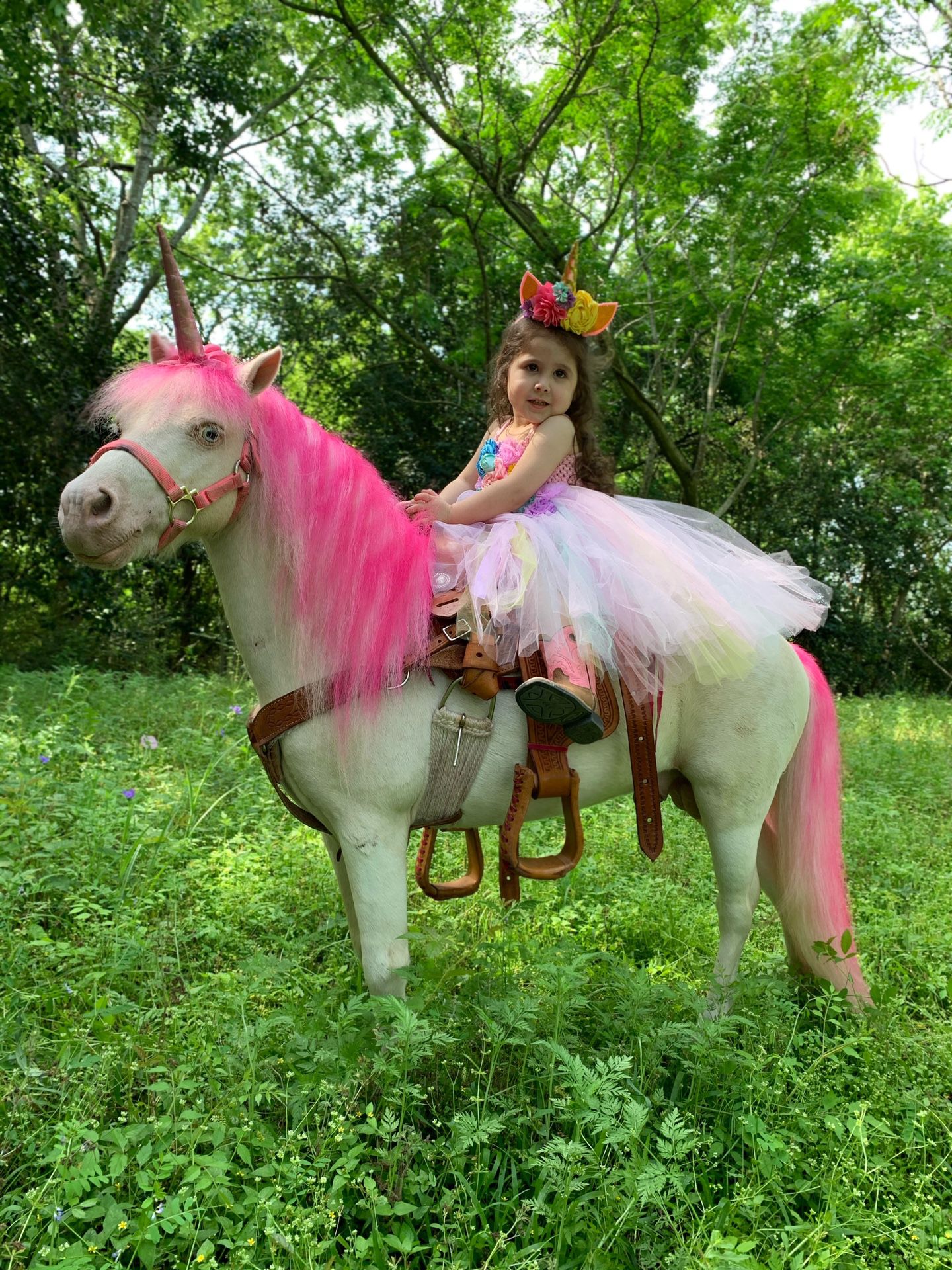 Pony rides and petting farm