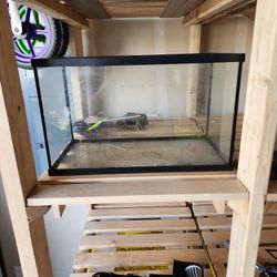 10 gallon fish tank
