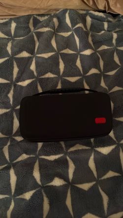 Nintendo case
