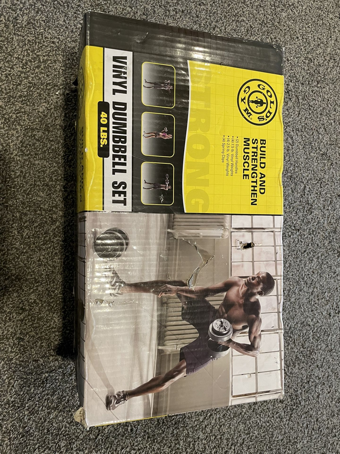 Gold's Gym 40 Pound LB Vinyl Cement Dumbbell Weight Set