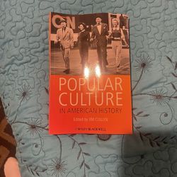 Popular Culture In American History