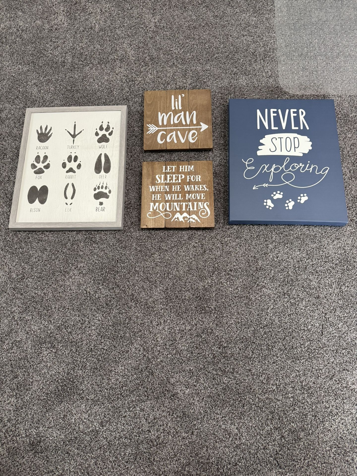 Explorer Themed Nursery Decor