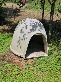 Dog house - igloo
