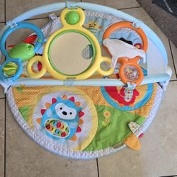 Skip Hop Activity Mat