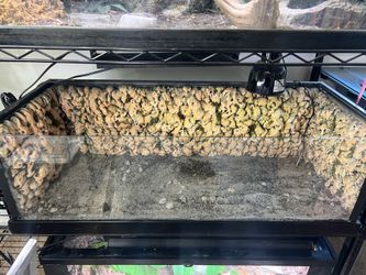 20 Gallon Long Enclosure w/ Custom Background