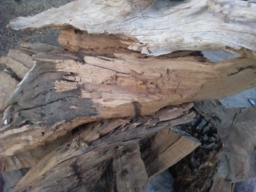 Sculpture Wood
