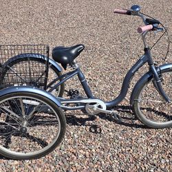 Schwinn Trike 24"