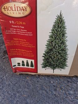 Sapin Forest Fir