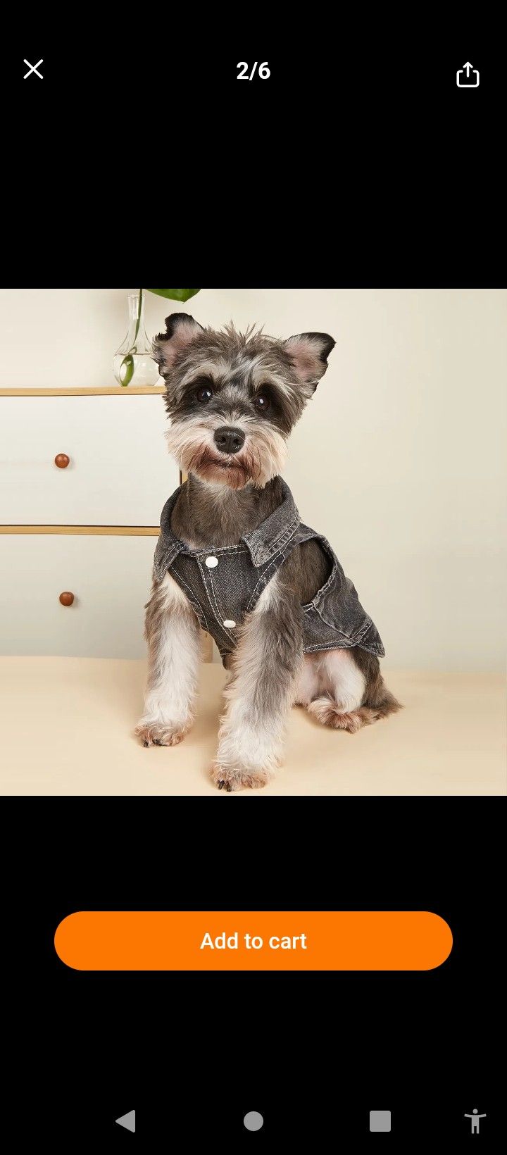 Doggy Vest(Brand New)