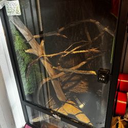 Reptile Cage. 