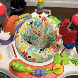 Baby Bouncer 