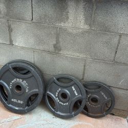 Workout Bench