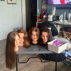 4 Used Mannequin Heads For Barber Practice Plus 1/2 Tray Of Rollers