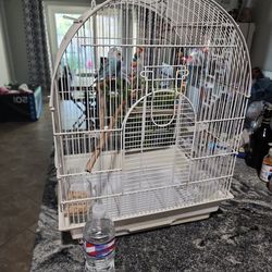 Medium Size Cage With Accessories 