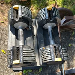 Dumbbells 