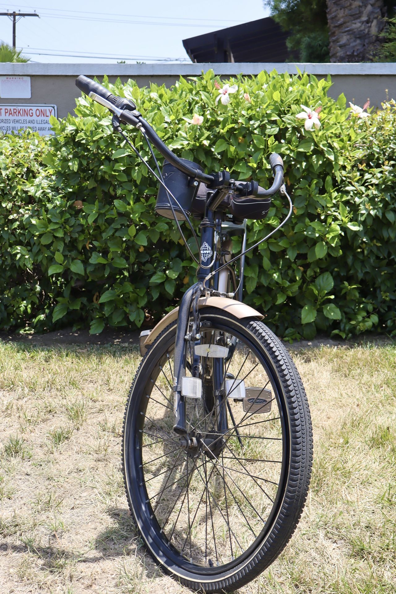 Empire 26-inch Beach Cruiser