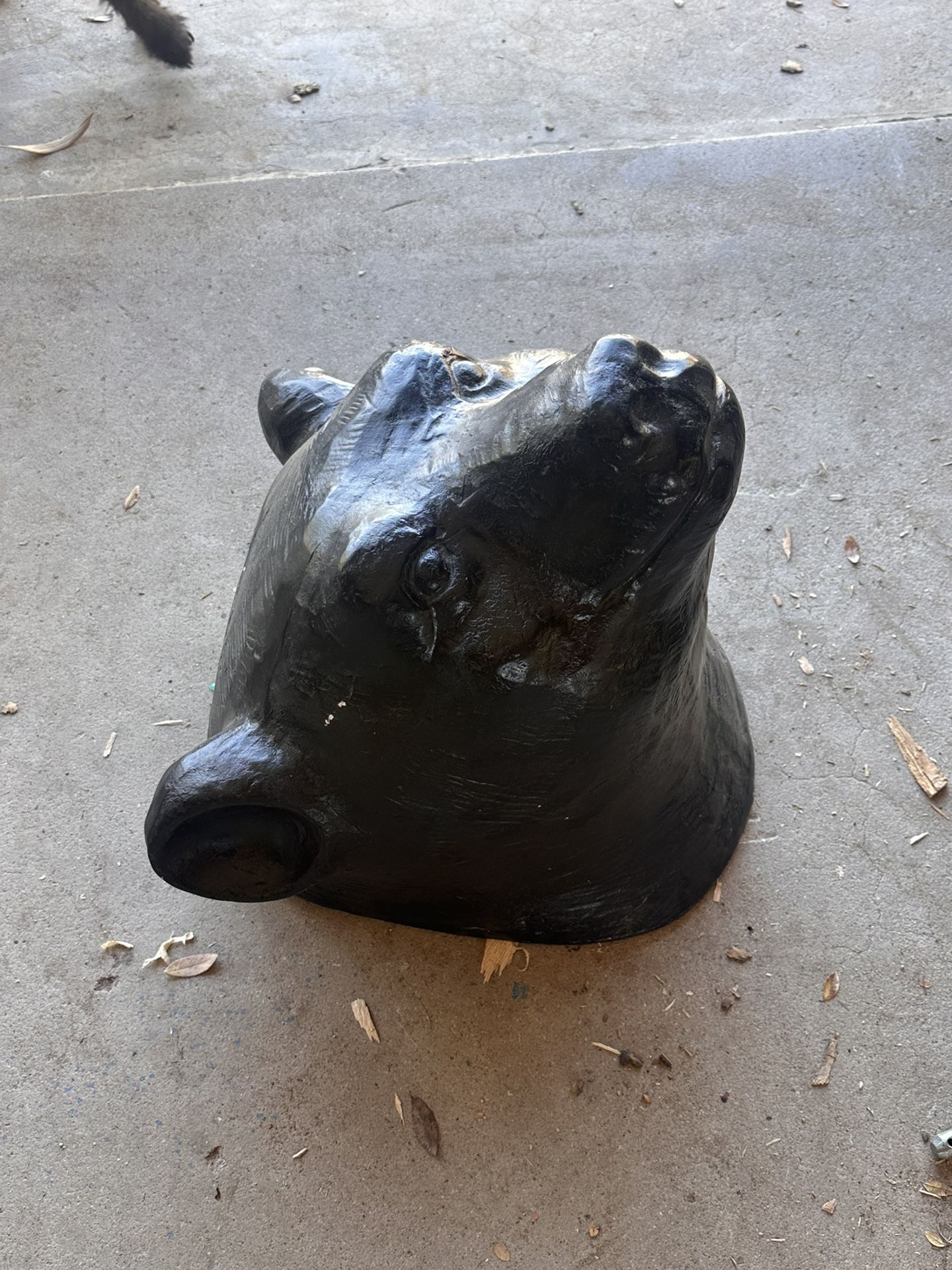 Large Bear Head