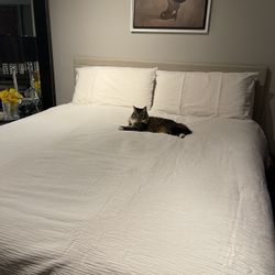 California King Mattress With Platform Bed 