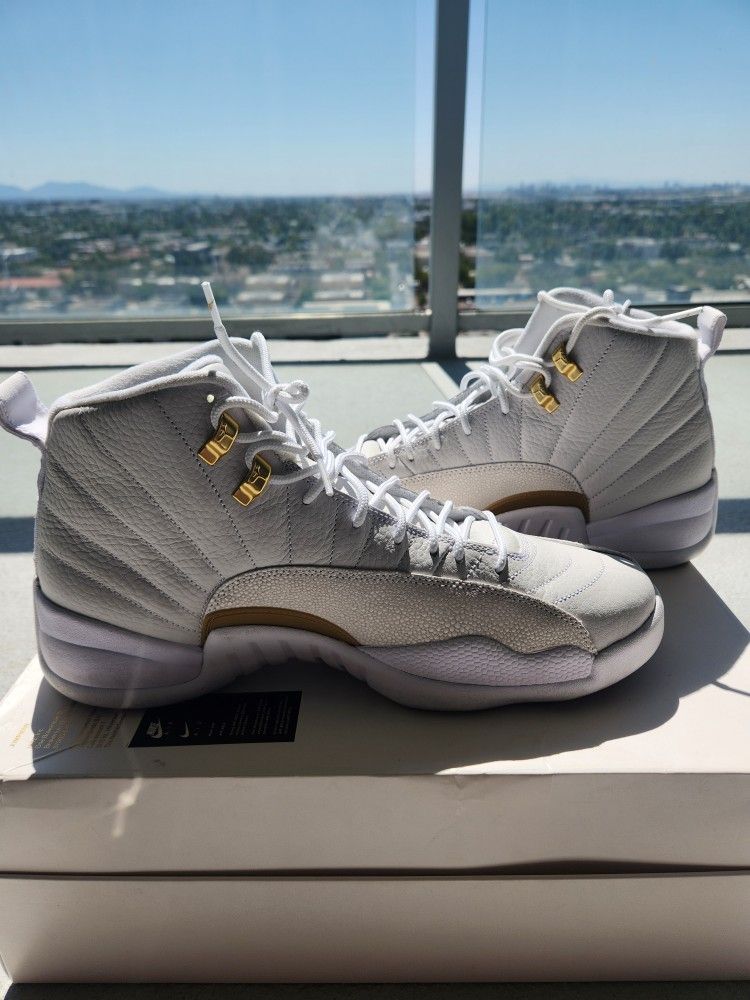 Jordan 12 OVO