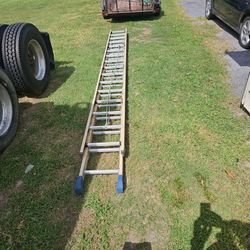 ladder