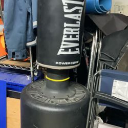 Everlasting Punching Bag 