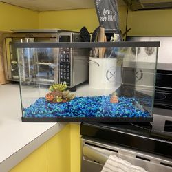 10 Gallon Aquarium