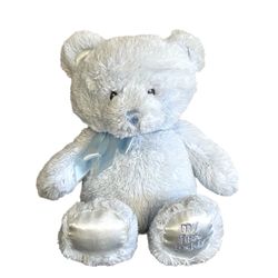 Baby Gund My First Teddy Bear Plush Stuffed Animal Blue Embroidered 10 Inch