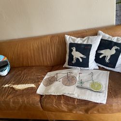 Throw Pillows And Covers