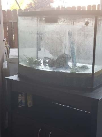 Large Premium Fish Tank $60 OBO
