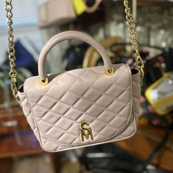 Purple & Gold Steve Madden Crossbody