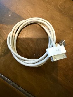 The wide connector used for older iPhones and iPods Apple 30-pin connector