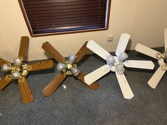 Fans