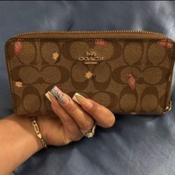 Coach Brown and Pink Butterfly Wallet