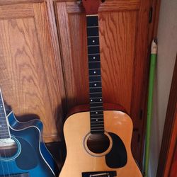 Acoustic Guitar 