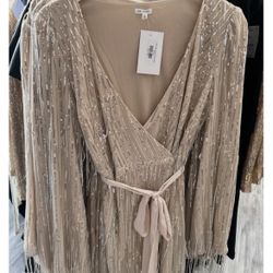 Nude Silver Sequin Fringe Dress Size Medium  