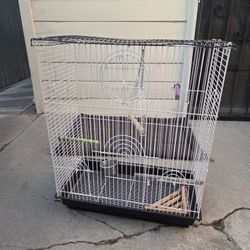 Bird Cage
