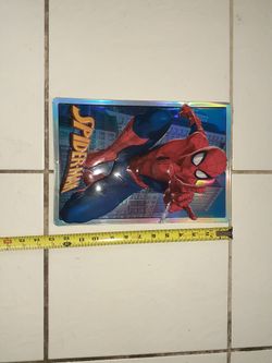 Spiderman Metal Picture 