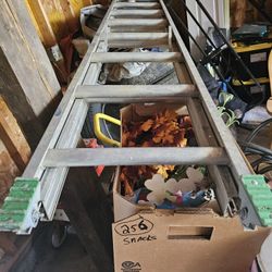 17 Foot Ladder