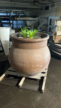 Big flower pot
