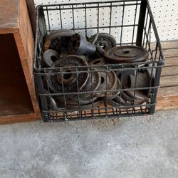 FREE WEIGHTS