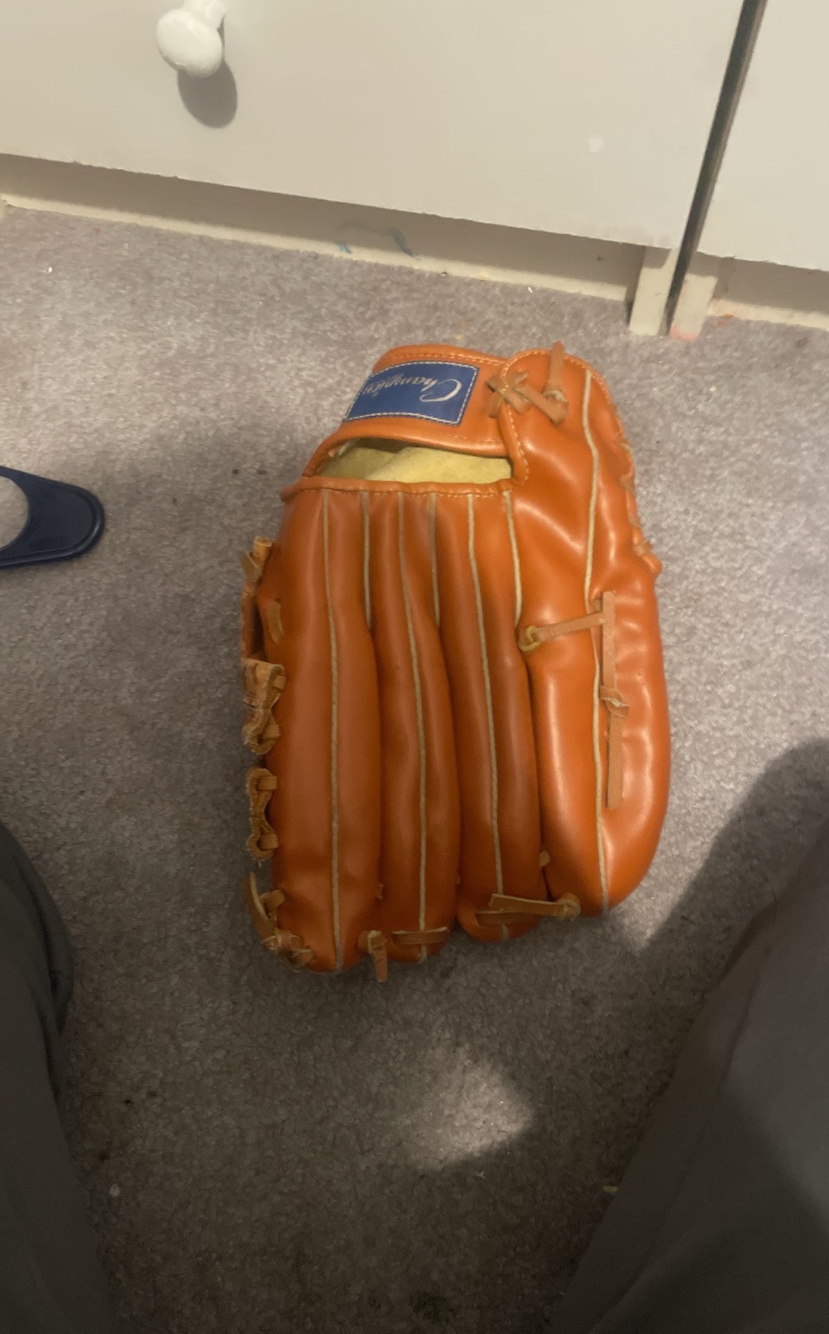 Baseball Glove