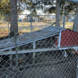 Chicken Tractor