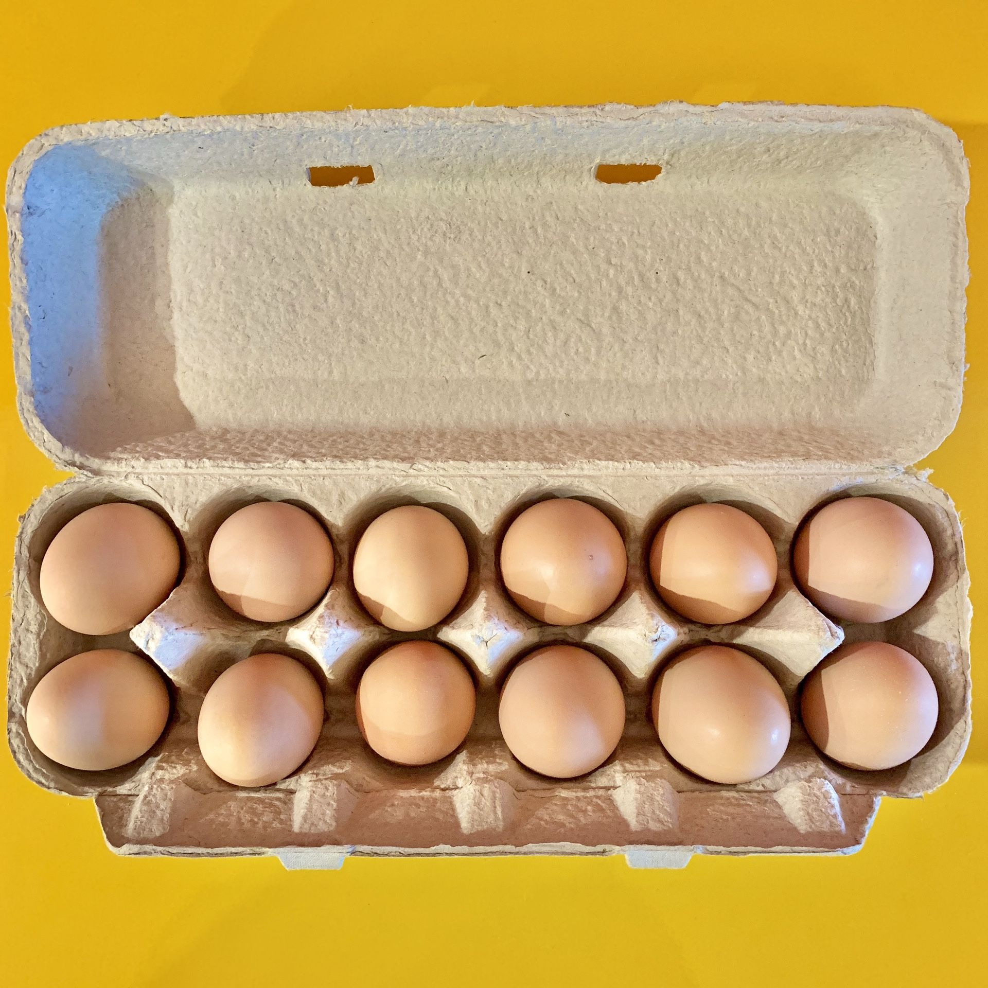 Non-GMO Chicken Eggs*