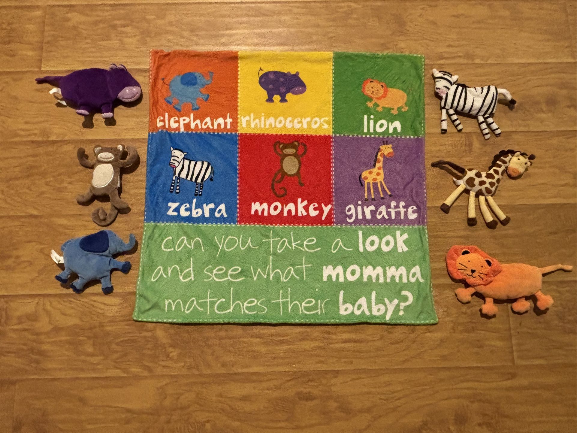 Animal Matching Mat With Stuffed Animals