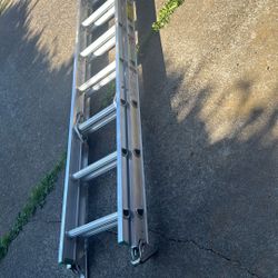 Werner 225lb - 16 ft Ladder