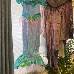 Little Mermaid Kids Small Costume