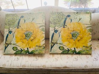 Bird frames