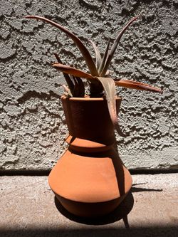 Terracotta Vase
