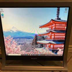 Computer Monitor Sony SDM-HS95P 19”